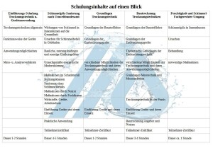 Schimmelpilz-Sanierung nach Umweltbundesamt - Online 4 -...